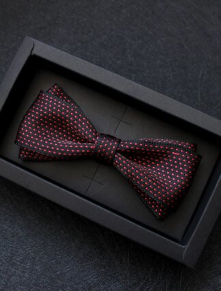 Men's Basic Bow Tie Silver Black Red